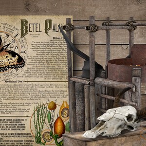May include: A vintage wooden contraption with a rusty metal bowl, a skull with horns, and a bottle of liquid labeled "Golfsbane". A page from a book with a butterfly illustration and text about "Betel Palm" is visible in the background.