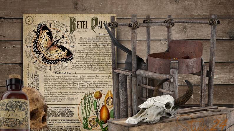 May include: A vintage wooden contraption with a rusty metal bowl, a skull with horns, and a bottle of liquid labeled "Golfsbane". A page from a book with a butterfly illustration and text about "Betel Palm" is visible in the background.