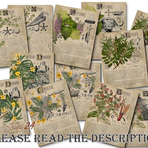 Grimoire Herbal Pages No.18, Witchcraft, Printable Book of Shadows, BOS, Digital Download of Plants, Spell, Herb Profiles, Green Witch