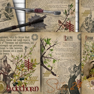 Blackthorn, The Druids calendar, Gallic horoscope, Printable Book of Shadows, tree of life, The Celtic Ogham, Green Witch, Grimoire, BOS