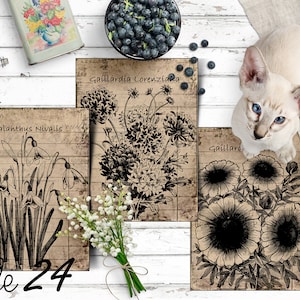 Big Bundle ! 84 Antique Botanical Garden Herbal Apothecary PART 3 (C-G) Scrapbook Digital Collage 3" x 4 Journaling Cards printable Vintage