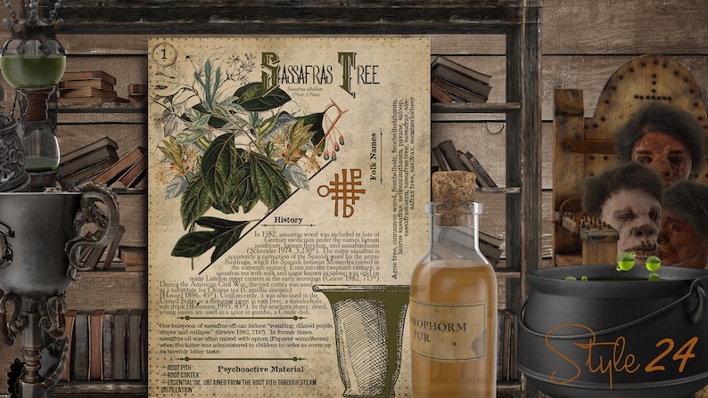 May include: A vintage botanical illustration of a Sassafras Tree with its history and folk names. The illustration is in a dark brown frame with a green background. The text includes the words "Sassafras Tree", "History", "Folk Names", "Ague tree", "cimon wood", "fechebolt", "feshelholzbaren", "dried", "Psychoactive Material", "Root Pith", "Essential Oil", "obtained from the root pith through steam distillation", "ROPHORM FUR".