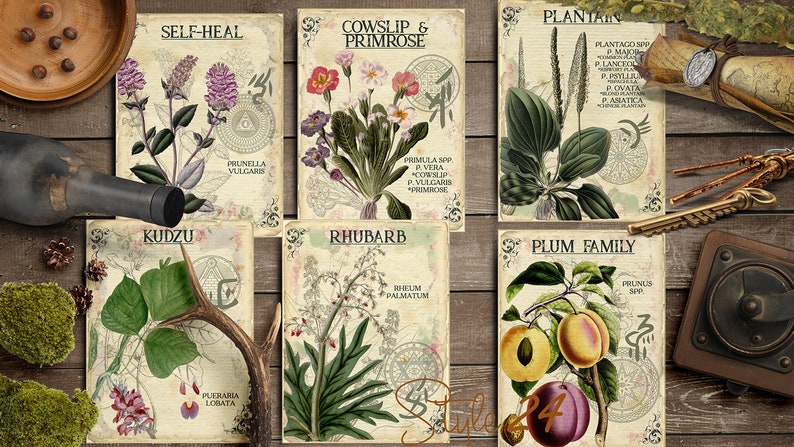 Vol 5 Herbal Index, Double Sided Scrapbook Ephemera 3x4 Journaling Cards, Digital Collage,printable Apothecary, Medicinal Herbal, Herbarium image 2