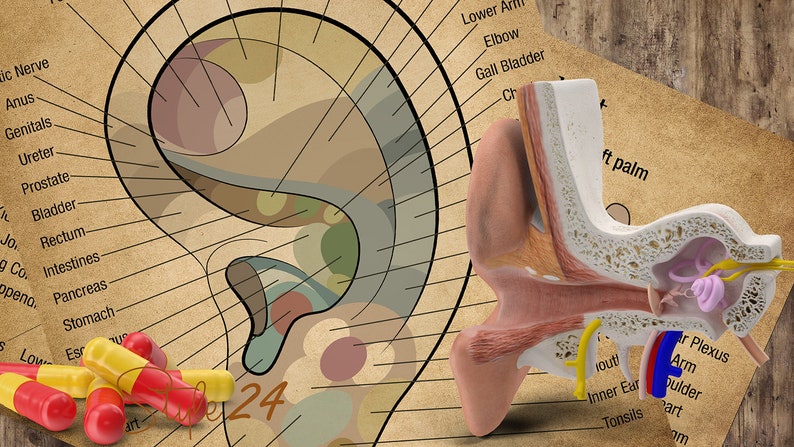 Puede incluir: Un gr&aacute;fico vintage que muestra el mapa de reflexolog&iacute;a del o&iacute;do con las partes del cuerpo correspondientes etiquetadas. El gr&aacute;fico est&aacute; sobre una superficie de madera con un modelo 3D de una oreja al lado. El modelo de oreja est&aacute; cortado para mostrar la anatom&iacute;a del o&iacute;do interno. Hay varias c&aacute;psulas rojas y amarillas en el gr&aacute;fico.