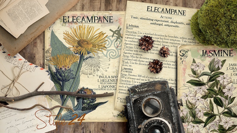 Vol 3 Herbal Index, Double Sided Scrapbook Ephemera 3x4 Journaling Cards, Digital Collage,printable Apothecary, Medicinal Herbal, Herbarium image 6