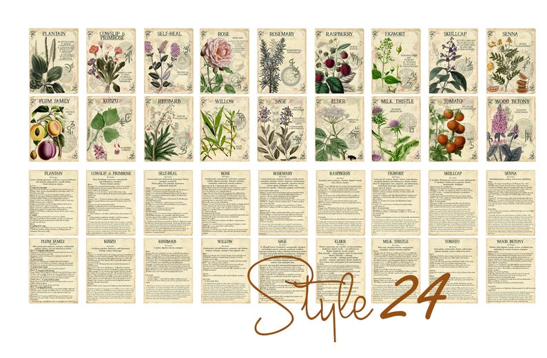 Vol 5 Herbal Index, Double Sided Scrapbook Ephemera 3x4 Journaling Cards, Digital Collage,printable Apothecary, Medicinal Herbal, Herbarium image 8
