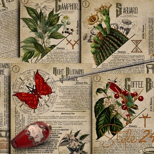 No 5, Book of Shadows, Printable pages of Ritual Poisonous Plants,Herbs, Witchcraft,Herbal, Grimoire BOS Sheets,Green Witch Scrolls of Venom