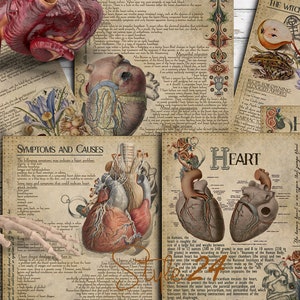 Coração, anatomia humana, para impressão, livro das sombras, BOS, páginas do livro, bruxa verde, download digital, vintage, Wicca, ilustrações anatômicas