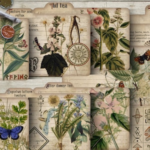 Carte ricetta strega, serie di problemi di pancia Libro delle ombre, stregoneria, grimorio stampabile download digitale a base di erbe Scrapbook in stile vintage