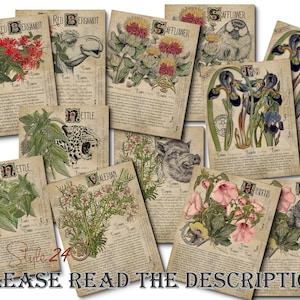 Grimoire Herbal Pages No.3, Witchcraft, Printable Book of Shadows, BOS, Digital Download of Plants, Spell Ingredient, Green Witch