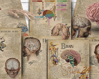 Brain, Human Anatomy, Printable, Book of Shadows, BOS, Book pages, Green Witch, Digital Download, Vintage, Wicca, Anatomical illustrations