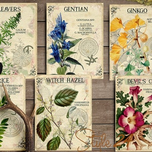 Vol 3 Herbal Index, Double Sided Scrapbook Ephemera 3x4 Journaling Cards, Digital Collage,printable Apothecary, Medicinal Herbal, Herbarium image 2