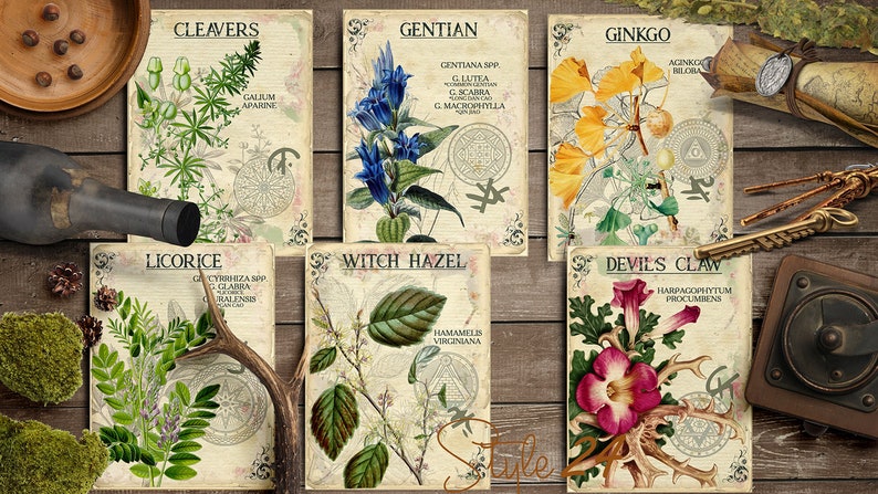 Vol 3 Herbal Index, Double Sided Scrapbook Ephemera 3x4 Journaling Cards, Digital Collage,printable Apothecary, Medicinal Herbal, Herbarium image 2