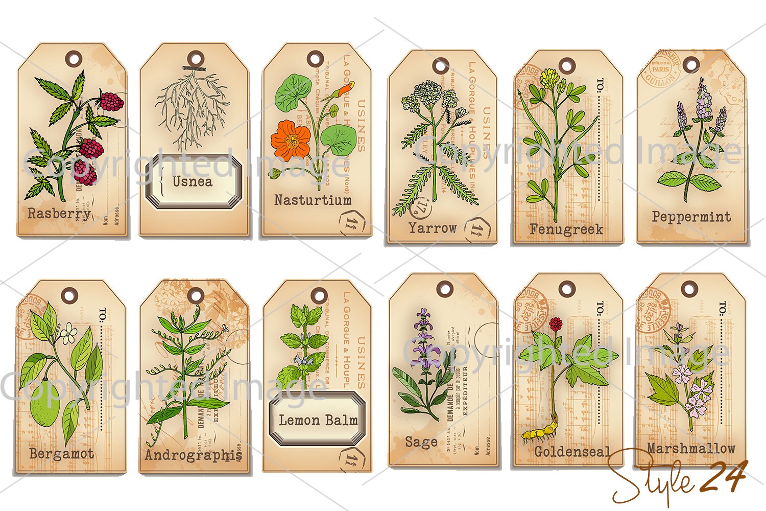 Medicinal Herbal Apothecary Labels with Info-graphic printable | Etsy