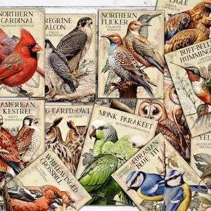 Vintage Vögel Index No.1, ATC Karten, Junk Journal druckbare Ephemera, Vögel Bild, Wildvögel Journal Zubehör, digitale 18 doppelseitige Karten
