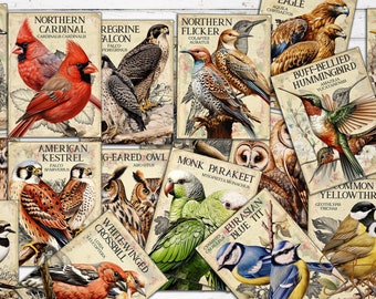 Vintage Birds Index No.1, ATC Cards, Junk Journal Printable Ephemera, Birds Image, Wildbirds Journal Supplies, Digital 18 double-sided Cards