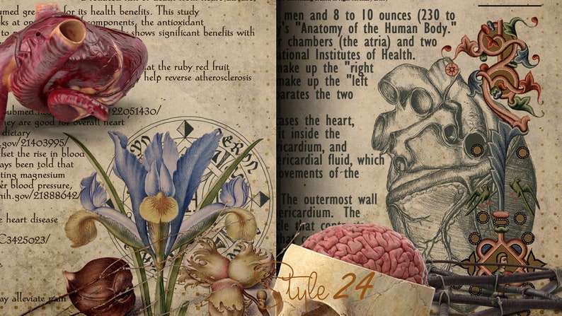 Heart Human Anatomy Printable Book of Shadows BOS Book | Etsy