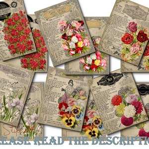 Geld Zauber Seiten, Buch der Schatten, digitaler Download, Junk Journal Kit, Hexerei, Zauberbuch, BOS, Baby Witch, Bundle,DIY