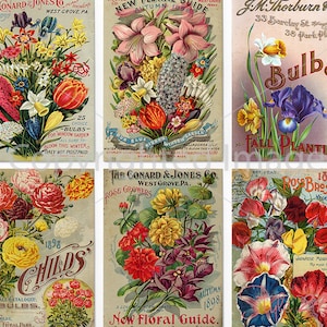 6 Different Antique Garden Flowers Seed Packets, DIGITAL Sheet, Vintage Seed Pack, Patio Art, Rustic Garden Shed, Botanical Ephemera, DIY image 1