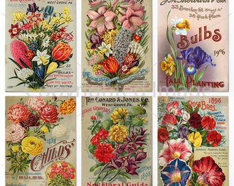 Puede incluir: Un collage de seis paquetes de semillas vintage con ilustraciones coloridas de flores. Los paquetes anuncian bulbos para la siembra de otoño, incluyendo rosas, campanillas y otras variedades. El texto en los paquetes incluye los nombres de las empresas, el año y los precios.