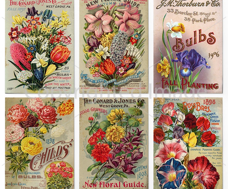 6 Different Antique Garden Flowers Seed Packets, DIGITAL Sheet, Vintage Seed Pack, Patio Art, Rustic Garden Shed, Botanical Ephemera, DIY image 1