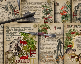 Rowan Druid Calendar Printable, Celtic Ogham Tree Lore (Digital Download)
