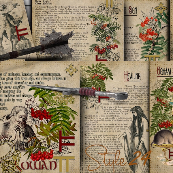 Rowan, The Druids calendar, Gallic horoscope, Printable Book of Shadows Celtic tree of life, The Celtic Ogham, Green Witch, Grimoire BOS