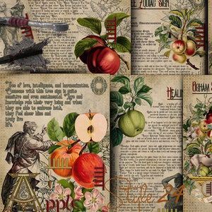 Apple, The Druids calendar, Gallic horoscope, Printable Book of Shadows Celtic tree of life, The Celtic Ogham, Green Witch, Grimoire, BOS