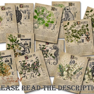 Grimoire Herbal Pages No.17, Witchcraft, Printable Book of Shadows, BOS, Digital Download of Plants, Spell, Herb Profiles, Green Witch
