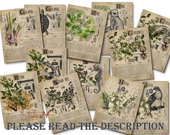 Grimoire Herbal Pages No.17: Witchcraft Plant Profiles (Digital Download)