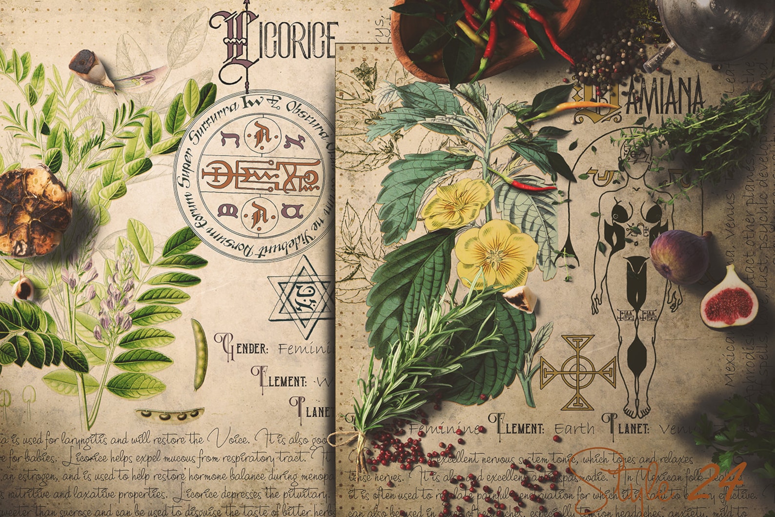 Grimoire Herbal Pages Witchcraft Printable Book of Shadows | Etsy