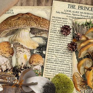 Vol 2 Edible Mushrooms Index, Double Sided Scrapbook Ephemera 3x4 Journaling Cards, Digital Collage, printable, Fungi, mycology, fungus, DIY image 10