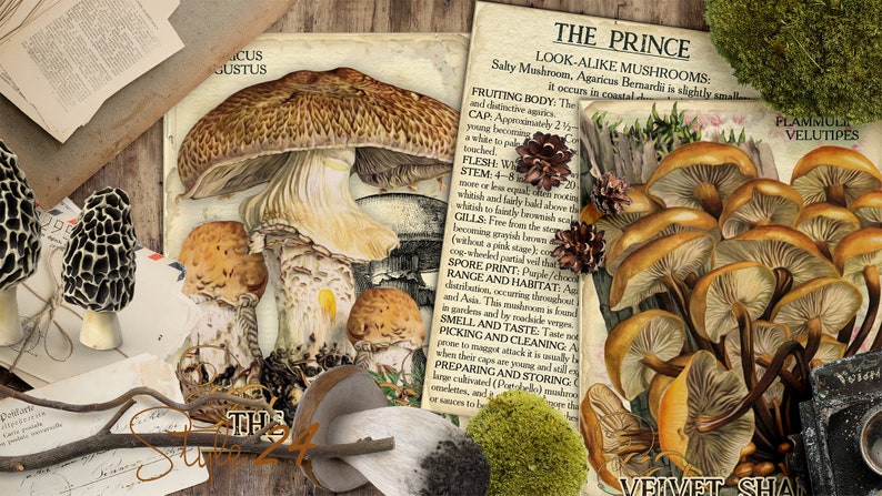 Vol 2 Edible Mushrooms Index, Double Sided Scrapbook Ephemera 3x4 Journaling Cards, Digital Collage, printable, Fungi, mycology, fungus, DIY image 10