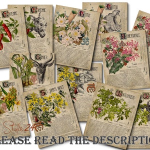 Grimoire Herbal Pages No.4, Witchcraft, Printable Book of Shadows, BOS, Digital Download of Plants, Spell Ingredient, Green Witch
