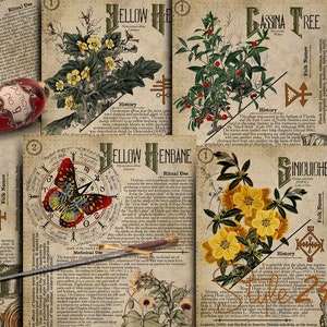 No 9, Book of Shadows, Printable pages of Ritual Poisonous Plants,Herbs, Witchcraft,Herbal, Grimoire BOS Sheets,Green Witch Scrolls of Venom