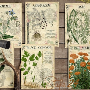 Vol 1 Herbal Index, Double Sided Scrapbook Ephemera 3x4 Journaling Cards, Digital Collage,printable Apothecary, Medicinal Herbal, Herbarium image 2