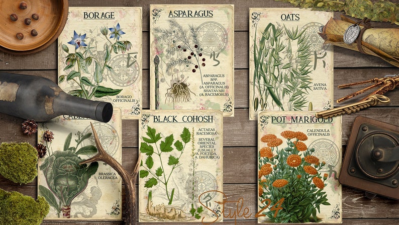 Vol 1 Herbal Index, Double Sided Scrapbook Ephemera 3x4 Journaling Cards, Digital Collage,printable Apothecary, Medicinal Herbal, Herbarium image 2