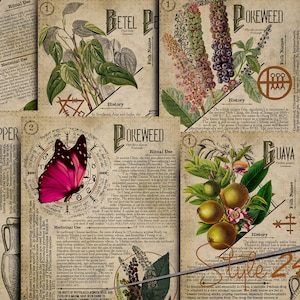 No 14, Book of Shadows,Printable pages of Ritual Poisonous Plants,Herbs, Witchcraft,Herbal, Grimoire BOS Sheets,Green Witch Scrolls of Venom