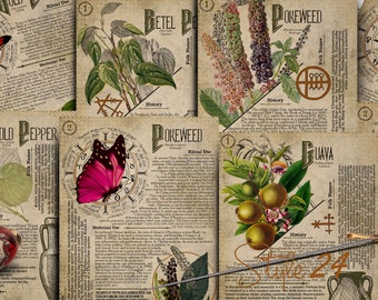 No 14, Book of Shadows,Printable pages of Ritual Poisonous Plants,Herbs, Witchcraft,Herbal, Grimoire BOS Sheets,Green Witch Scrolls of Venom