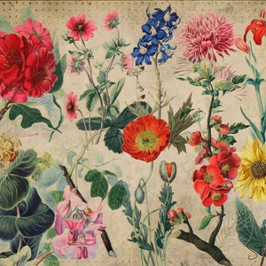 Antique Garden 1, 10 fiori Clipart illustrazione botanica file PNG e JPG per la realizzazione di cartoline, inviti di nozze, stampe digitali, collage