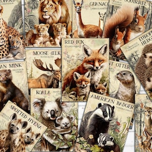 Vintage animaux sauvages, index n° 1, cartes ATC, éphémères imprimables pour journal indésirable, fournitures pour journal animaux sauvages, numérique 18 cartes recto-verso