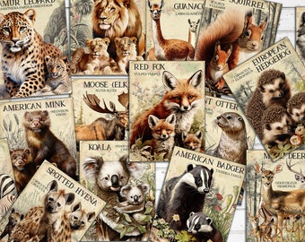 Vintage Wild Animals Index No.1, ATC Cards, Junk Journal Printable Ephemera,  Wild Animals Journal Supplies, Digital 18 double-sided Cards