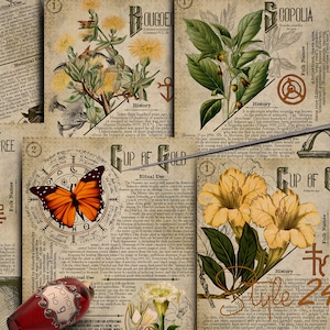 May include: A collection of six vintage botanical illustrations featuring various plants and butterflies. Each illustration includes a title, a description of the plant, and a folk name. The illustrations are printed on a parchment-like background with a distressed look.