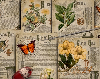 No 15, Book of Shadows,Printable pages of Ritual Poisonous Plants,Herbs, Witchcraft,Herbal, Grimoire BOS Sheets,Green Witch Scrolls of Venom