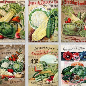6 paquetes de semillas de verduras de jardín antiguas diferentes, hoja DIGITAL, paquete de semillas vintage, arte de patio, cobertizo de jardín rústico, efímera botánica