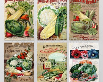 6 Different Antique Garden Vegetables Seed Packets, DIGITAL Sheet, Vintage Seed Pack, Patio Art, Rustic Garden Shed, Botanical Ephemera