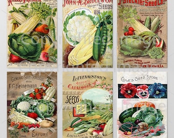 May include: Six vintage seed company catalogs featuring colorful illustrations of various vegetables and flowers. The catalogs are from the late 1800s and early 1900s and include the names of the companies: Richard Frutscher Seed Co., John A. Bruce & Co., J-Steckler Seed Co., F.C. Heinemann, Livingston's Seeds, and Cole's Seed Store.