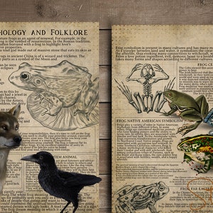 May include: A collage featuring illustrations and images of frogs, animals, and text about frog mythology and folklore. Includes a parrot, eagle, wolf, raven, heron, and rabbit. The text discusses frog symbolism in various cultures.