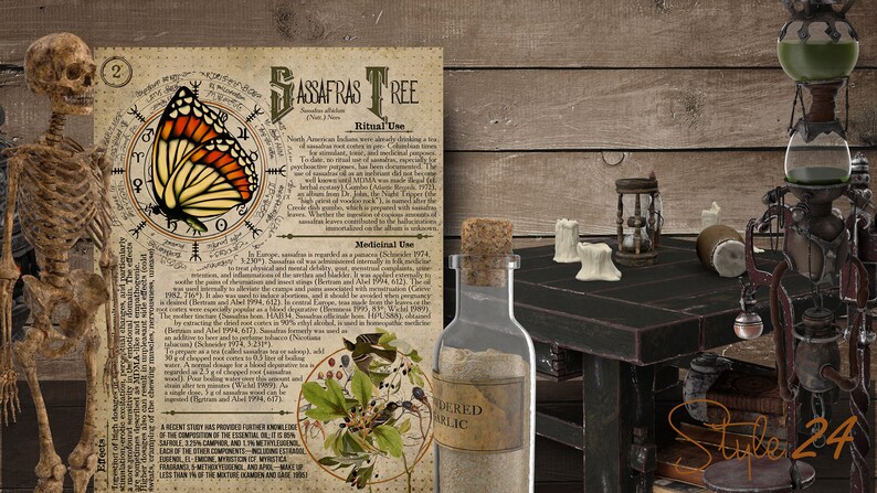 May include: A vintage illustration of a Sassafras Tree with a butterfly and text about its medicinal and ritual uses. The image is on a parchment-like background with a skeleton and a table with bottles and candles.