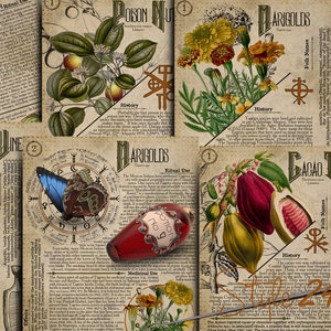 No 16, Book of Shadows,Printable pages of Ritual Poisonous Plants,Herbs, Witchcraft,Herbal, Grimoire BOS Sheets,Green Witch Scrolls of Venom